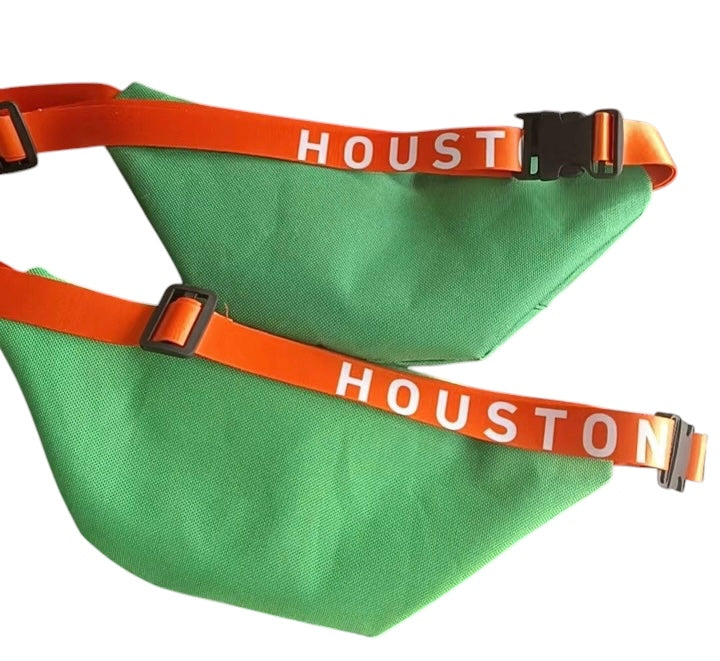 Orbit Fanny Bag